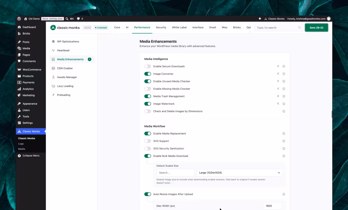 WordPress media enhancements settings