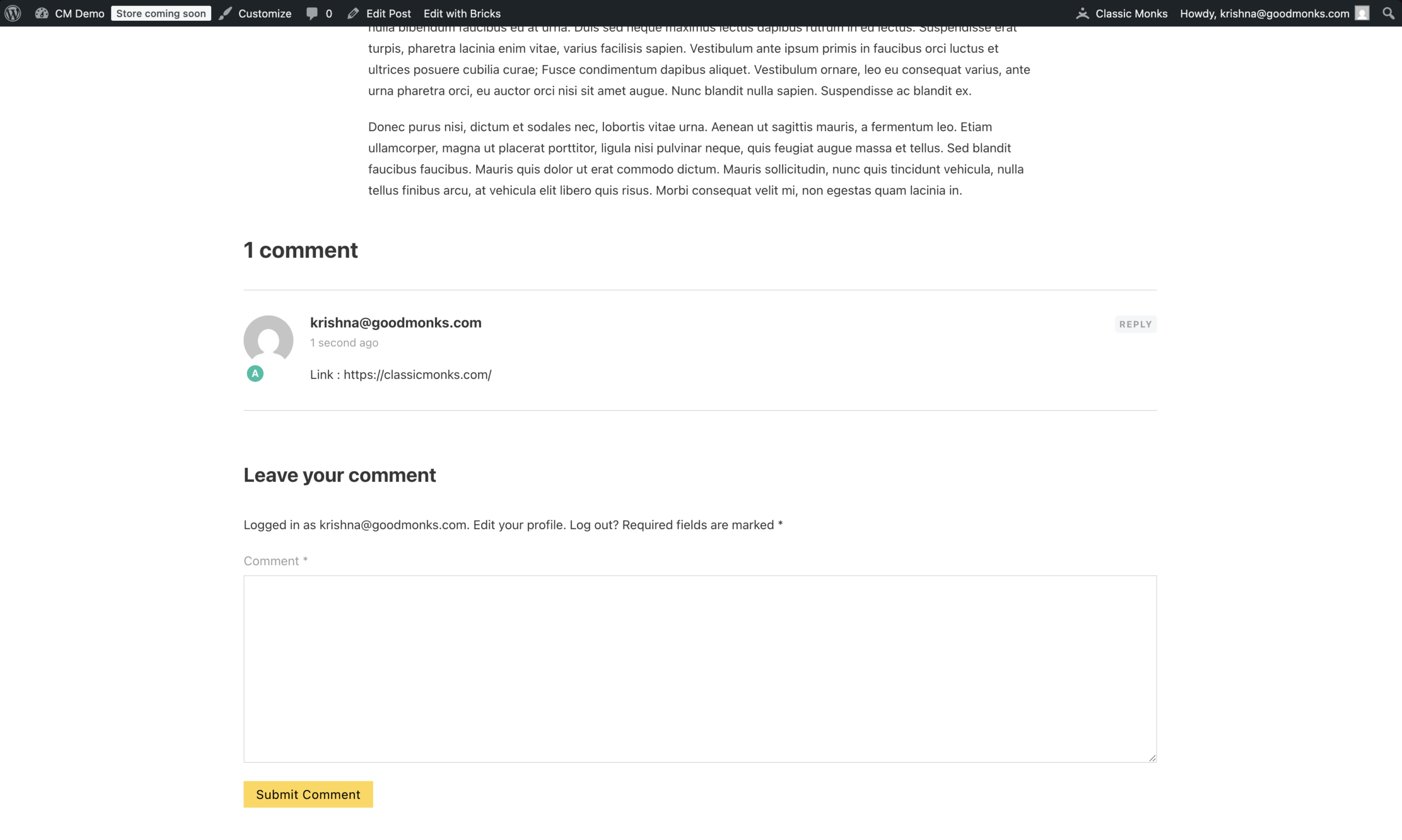 WordPress comment section showing one comment with a link, and a form to leave a new comment with a submit button.