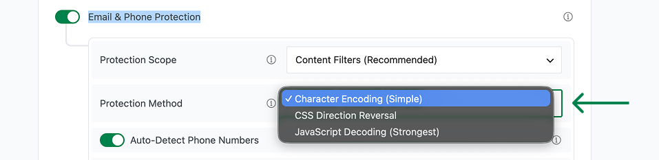 Character Encoding protection method