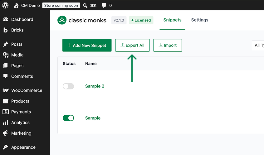 Export all snippets