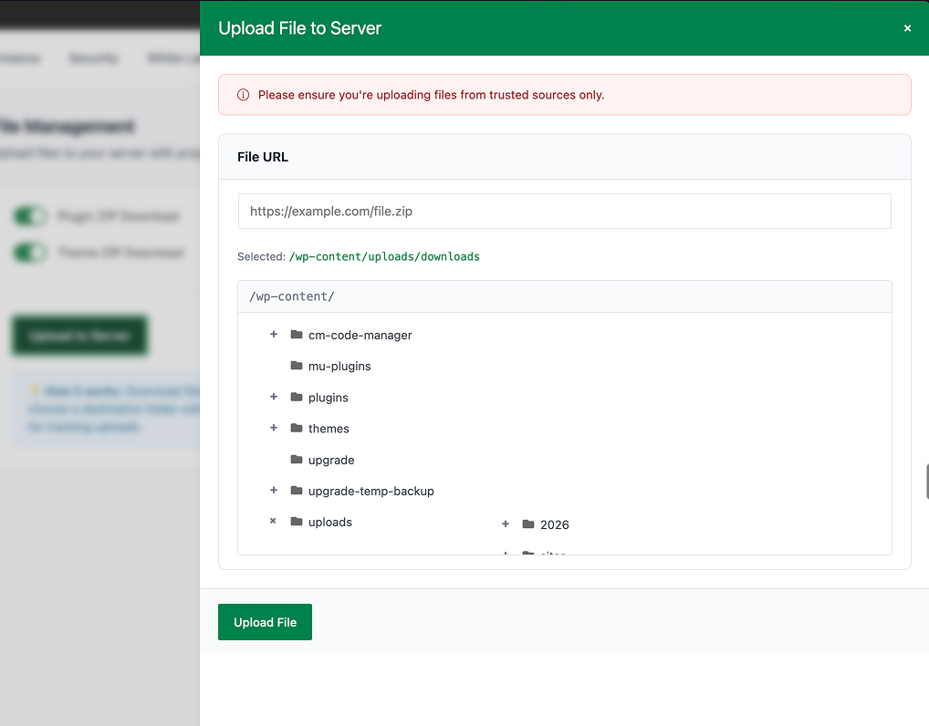 File upload interface for server