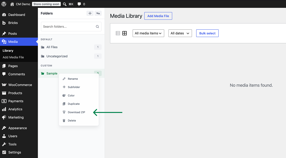 Sample folder download zip